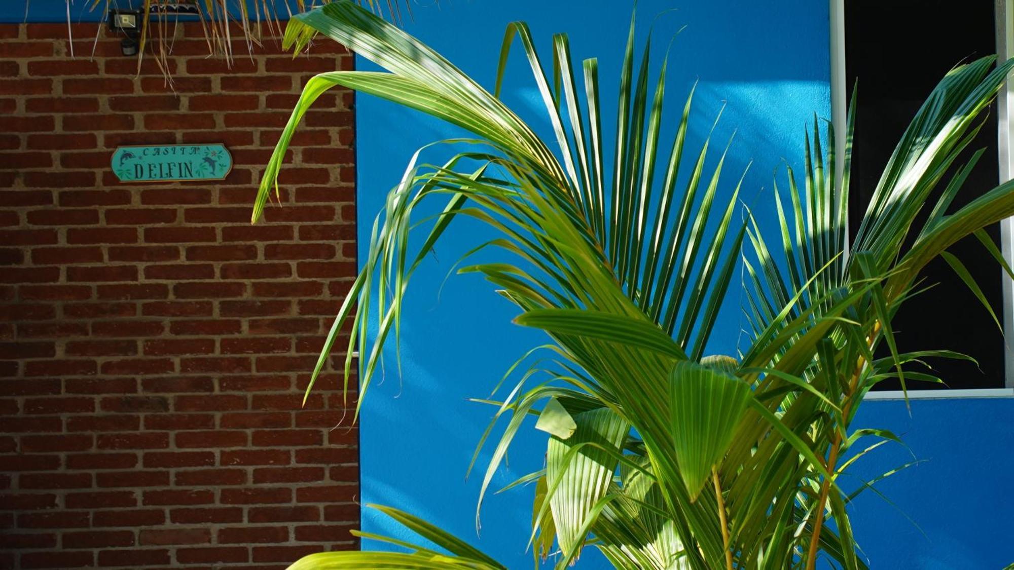 Ocean Oasis Hotel - Adult Only, Four Casitas Boutique Resort Agua Blanca Zewnętrze zdjęcie