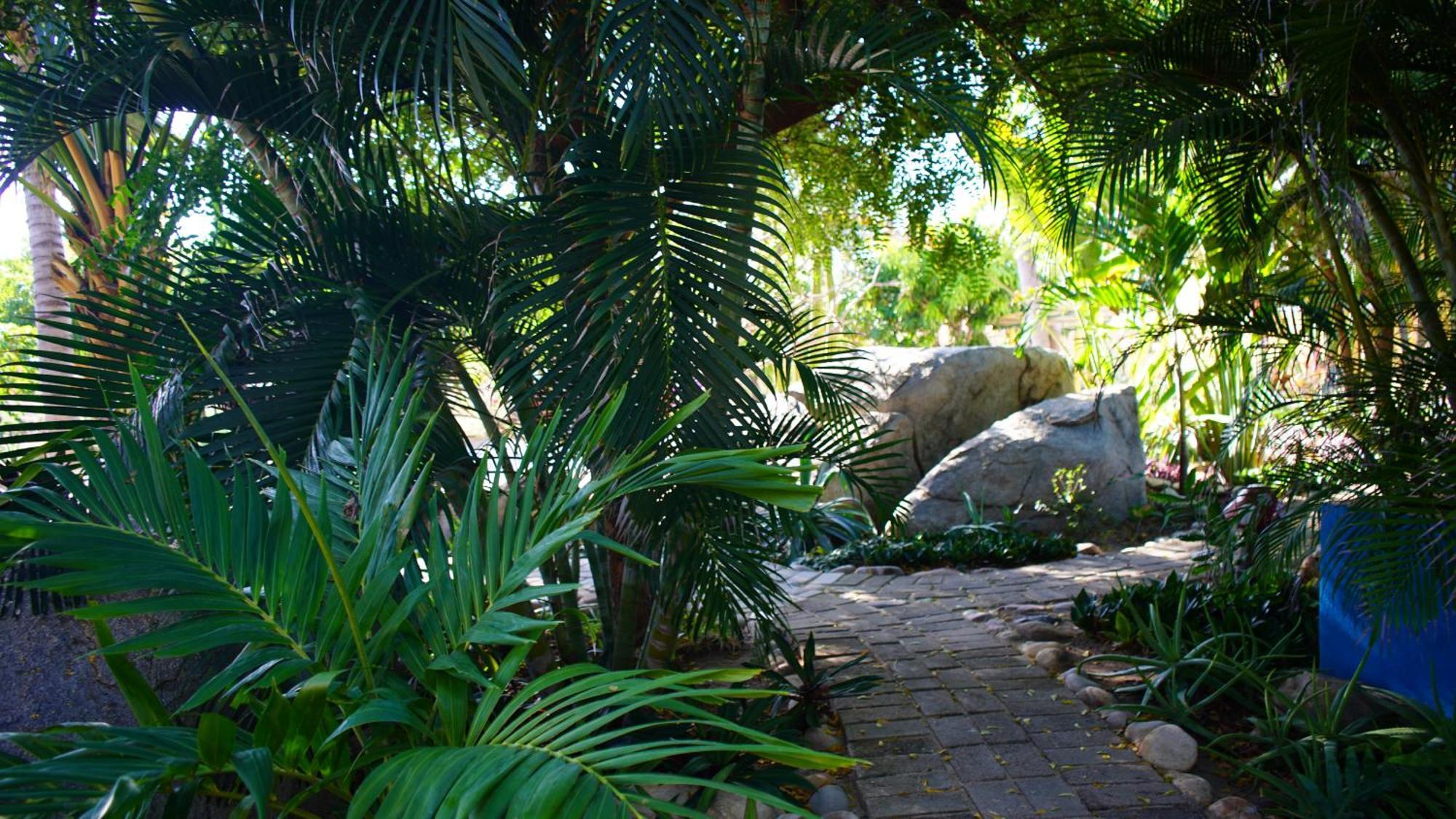 Ocean Oasis Hotel - Adult Only, Four Casitas Boutique Resort Agua Blanca Zewnętrze zdjęcie
